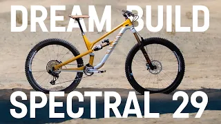 Canyon Dream Bike Build | Spectral 29 Luca Cometti