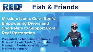 Mission: Iconic Coral Reefs: Empowering Divers and Snorkelers to Support Coral Reef Restoration