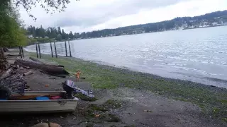 Man Eats a Dead Seal's Beating Heart