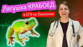 ВЗРЫВНОЙ 💥 вопрос ЕГЭ про ЛЯГУШКУ-КРАБОЕДА 🦀😱