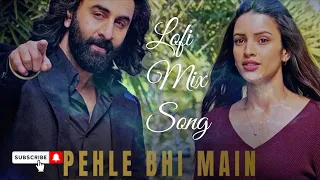 ANIMAL:PEHLE BHI MAIN(Lofi Song| Ranbir Kapoor,Tripti Dimri | Sandeep V | Vishal M,Raj S | Bhushan K