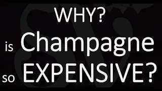 The Price of Champagne Wine... Why is it So Expensive?