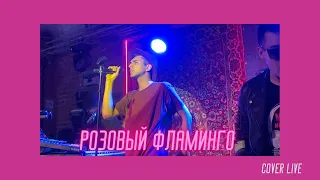 Чарли Шайтер & Sandwich - Розовый фламинго 🦩  (cover)