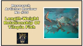 Length-Weight Relationship Of Tilapia Fish | Research Articles Reviews derana hiru | The Moral Show