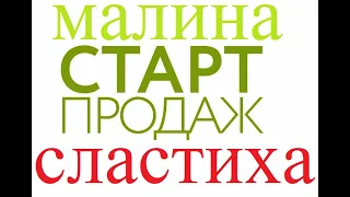 Сластиха СТАРТ продаж