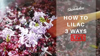 How To Use Lilac Flowers 3 ways | Dry Lilac | Lilac syrup | Lilac essential oil |