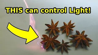 Controlling Light with High Voltage and Aniseed! The Kerr Effect!