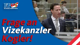 Volker Reifenberger (FPÖ) - Frage an Vizekanzler Kogler