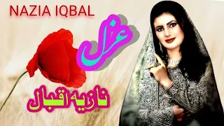 Pashto New Songs 2024 | Laka Murr Mein Baba Morjaney | Eid Song | 2024 Nazia Iqbal Pashto Songs 2024