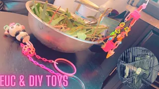 WATCH MY SUGAR GLIDERS GO CRAZY OVER EUCALYPTUS + ALL NEW DIY TOY IDEAS | Let’s make toys together!