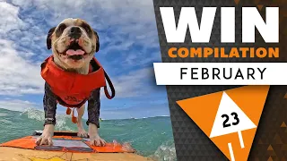 WIN Compilation FEBRUARY 2023 Edition | Best videos of January | LwDn x WIHEL