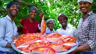 INDIAN GOAT FISH FRY | 20 Kg Fish Fry with Flavoured Oil | Nagarai Meen Poriyal | Cooking In Village