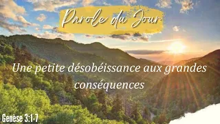 N°966 - Une petite désobéissance aux grandes conséquences - Genèse 3:1-7 - ESSENCIEL