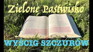 Zielone Pastwisko 21.05.2024 - "WYŚCIG SZCZURÓW" [# 1738] - Mk 9, 30-37