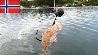 Žvejyba Norvegijoje ant skumbrės porcijos