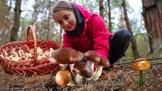 Picking and cooking mushrooms in the village! The best Suillaceae dishes