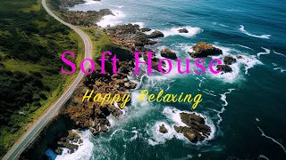 Soft House 2024 🌊🌲 Happy Relaxing Mix【House / Chill Mix / Instrumental】