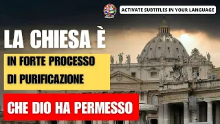 La Chiesa è in un processo di forte purificazione...che Dio ha permesso!