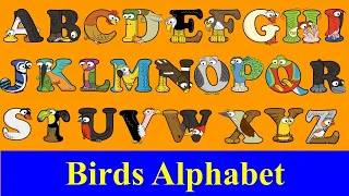 Birds A-Z for kids / Alphabetimals ABC / Alphabet Animals A-Z / ABC Bird flashcards / a-z birds name