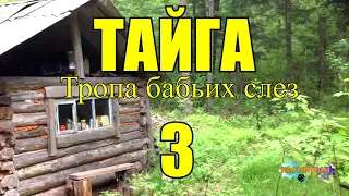 ОТШЕЛЬНИКИ | ЖИЗНЬ В ТАЙГЕ  3 из 16