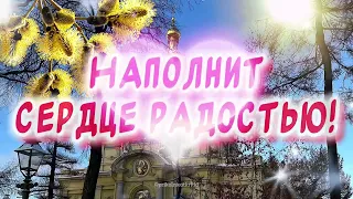 Поздравляю С Вербным Воскресеньем🕊️ Красивое поздравление от души 🙏