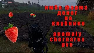 Dayz anomaly chernarus pve это просто имба фарма денег на клубнике