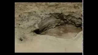 Азербайджан  Azerbaijan  Грязевые вулканы  Mud volcanoes