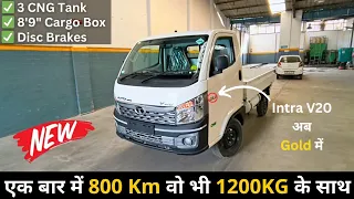 New Tata Intra V20 GOLD 2024 (CNG + Petrol) : 1200Kg Payload Pickup @ ₹8.44 L | Features & Interior