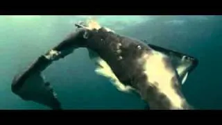 Oceans (2010) fish-killing scene.avi