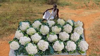 Cauliflower Masala Prepared by my Daddy ARUMUGAM / Village food factory