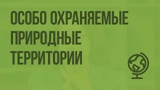 ООПТ (особо охраняемые природные территории). Видеоурок по географии 8 класс