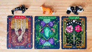 🧝🏾‍♀️🧙🏼‍♀️URGENT MESSAGES FROM YOUR SPIRIT GUIDES!!!🧙🏼‍♀️🧝🏾‍♀️tarot card reading🧝🏾‍♀️pick a card