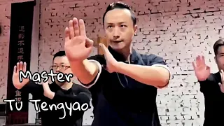 MASTER TU TENGYAO WING CHUN FIGHTS AND METHODS
