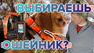 Что нужно знать начинающему охотнику, при покупке собачьего ошейника Garmin?