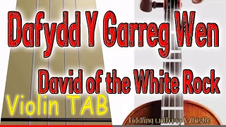 Dafydd Y Garreg Wen - David of the White Rock - Violin - Play Along Tab Tutorial