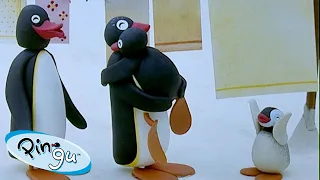 Family Time with Pingu🐧 | Pingu - Official Channel | Cartoons For Kids