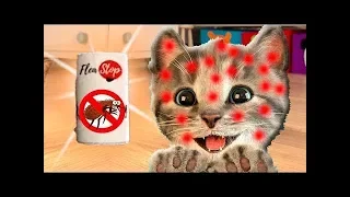 Fun Pet Care Kids Game - Little Kitten Adventures - Play Costume Dress-Up Party Gamepaly #42