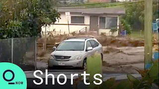 Water Surges Down Street as Flash Flooding Hits Hawaii #Shorts