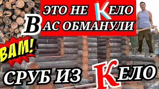 Хотите настоящий сруб из кело? Тогда Вы должны это знать!