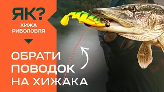 Як обрати поводок для хижака? Проста рибалка для початківців