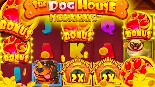 DOG HOUSE MULTIHOLD BONUS BUYS (Blizz casino)