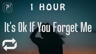 [1 HOUR 🕐 ] Astrid S - It's Ok If You Forget Me (Lyrics)