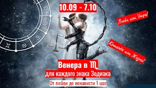 “Горячие” темы для каждого знака Зодиака - 10.09-7.10: Венера в Скорпионе