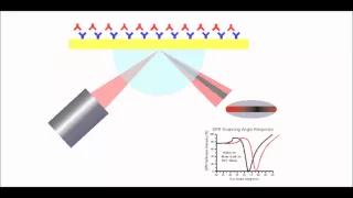 Surface Plasmon Resonance Explained