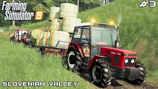 Baling and transporting hay | Small Farm - Slovenian Valley | Farming Simulator 2019 | Episode 4