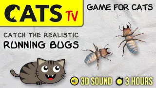 GAME FOR CATS - Realistic bugs walking on screen [CATS TV] 3 hours of entertainment for cats