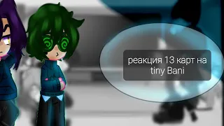 реакция 13 карт на tiny Bunnу