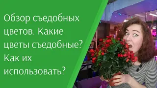 Обзор съедобных цветов. Какие цветы съедобные? Как использовать съедобные цветы? #съедобныецветы