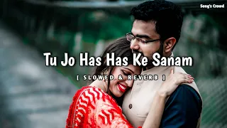 Tu Jo Has Has Ke Sanam Mujhse Baat Karti Hai|Slowed & Reverb|Udit Narayan|Govinda|Raja Bhaiya|