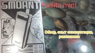 Smoant Pasito Mini Обзор, опыт эксплуатации, распаковка. Все про новый Pasito